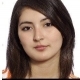 Karen Villarroel I.