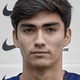 Fernando Zanforln V.